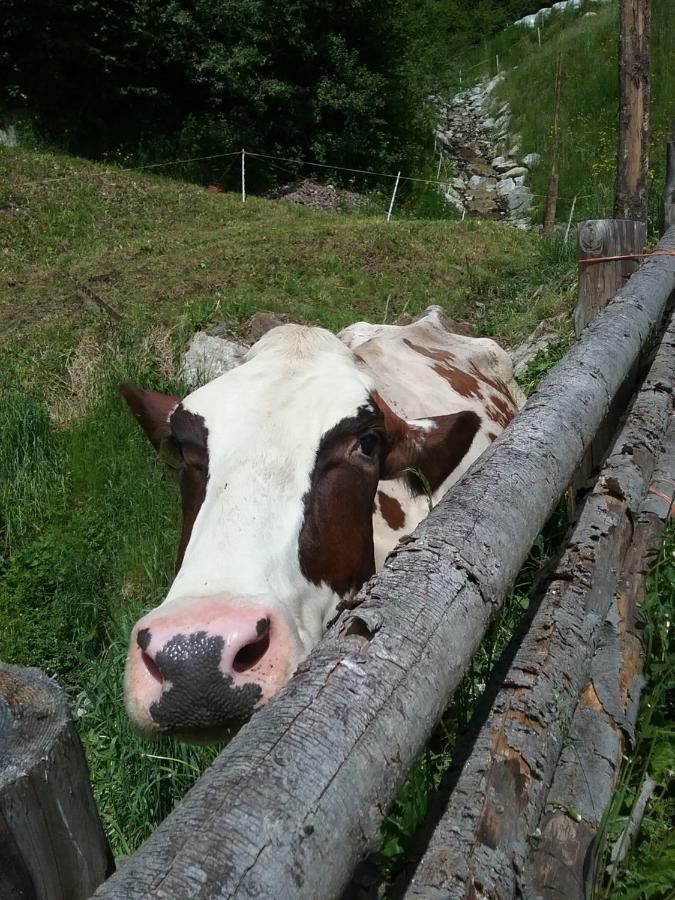 Luech Da Morgnun Villa San Vigilio Di Marebbe Eksteriør bilde